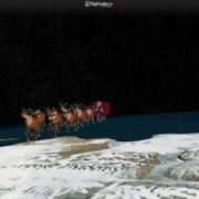 ヒメ日記 2025/12/24 18:20 投稿 わこ 即トク奥さん