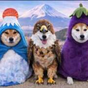 ヒメ日記 2026/01/03 16:03 投稿 わこ 即トク奥さん