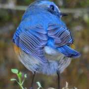 ヒメ日記 2026/01/15 07:20 投稿 わこ 即トク奥さん