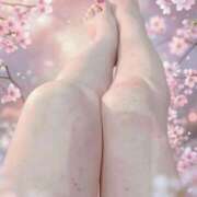 ヒメ日記 2026/01/22 09:50 投稿 わこ 即トク奥さん