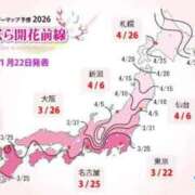 ヒメ日記 2026/01/26 10:40 投稿 わこ 即トク奥さん