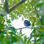 ヒメ日記 2026/02/09 06:10 投稿 わこ 即トク奥さん