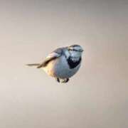 ヒメ日記 2026/02/10 17:00 投稿 わこ 即トク奥さん