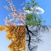 ヒメ日記 2026/02/17 18:00 投稿 わこ 即トク奥さん