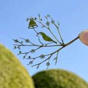 ヒメ日記 2026/02/19 13:52 投稿 わこ 即トク奥さん