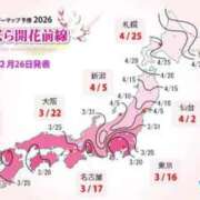 ヒメ日記 2026/02/28 06:00 投稿 わこ 即トク奥さん