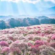 わこ おはよ... 即トク奥さん