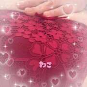 ヒメ日記 2026/03/10 09:47 投稿 わこ 即トク奥さん