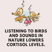 ヒメ日記 2026/03/12 06:10 投稿 わこ 即トク奥さん