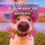 ヒメ日記 2026/03/15 06:10 投稿 わこ 即トク奥さん