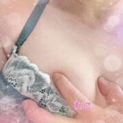 ヒメ日記 2026/03/19 20:04 投稿 わこ 即トク奥さん