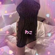 ヒメ日記 2026/03/21 20:20 投稿 わこ 即トク奥さん