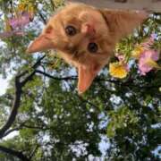 ヒメ日記 2026/03/26 06:20 投稿 わこ 即トク奥さん