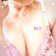 ヒメ日記 2026/03/27 11:50 投稿 わこ 即トク奥さん