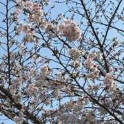 ヒメ日記 2026/03/28 12:53 投稿 わこ 即トク奥さん