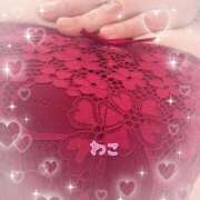 ヒメ日記 2026/03/31 13:10 投稿 わこ 即トク奥さん