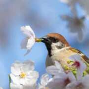 ヒメ日記 2026/03/31 20:05 投稿 わこ 即トク奥さん