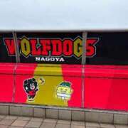 ヒメ日記 2026/04/01 19:10 投稿 わこ 即トク奥さん