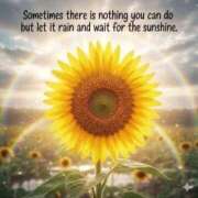 ヒメ日記 2026/04/03 06:10 投稿 わこ 即トク奥さん