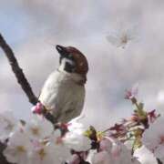 ヒメ日記 2026/04/04 06:10 投稿 わこ 即トク奥さん