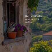 ヒメ日記 2026/04/07 20:20 投稿 わこ 即トク奥さん