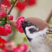 ヒメ日記 2026/04/08 05:50 投稿 わこ 即トク奥さん
