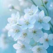 ヒメ日記 2026/04/10 05:50 投稿 わこ 即トク奥さん