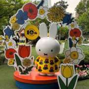 ヒメ日記 2026/04/13 20:20 投稿 わこ 即トク奥さん