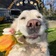 ヒメ日記 2026/04/14 06:00 投稿 わこ 即トク奥さん