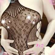 わこ Good Night ... 即トク奥さん