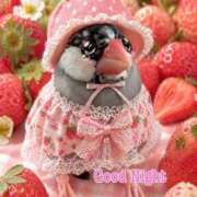 ヒメ日記 2026/04/23 18:20 投稿 わこ 即トク奥さん