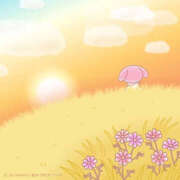 ヒメ日記 2026/10/19 05:50 投稿 わこ 即トク奥さん