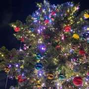 ヒメ日記 2025/11/20 23:42 投稿 凛那(りな)♥黒髪完全業界未経験 美魔女コレクション