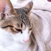 ヒメ日記 2025/12/07 16:12 投稿 しの 密着指導！バカンス学園 尼崎校