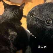 ヒメ日記 2025/11/29 18:58 投稿 おこめ 実録！おとなのわいせつ倶楽部