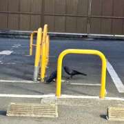 ヒメ日記 2026/01/21 09:38 投稿 おこめ 実録！おとなのわいせつ倶楽部