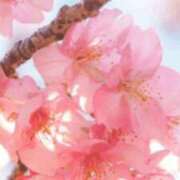 うみ 着きました 熟女の風俗最終章 錦糸町店