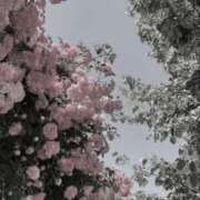 ヒメ日記 2025/09/21 23:00 投稿 ぽっちゃま 上野ハンドメイド