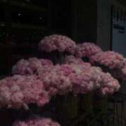 ヒメ日記 2025/10/01 20:45 投稿 ぽっちゃま 上野ハンドメイド