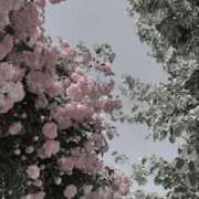 ヒメ日記 2025/09/21 23:04 投稿 ぽっちゃま 神田ハンドメイド