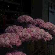 ヒメ日記 2025/10/01 20:49 投稿 ぽっちゃま 神田ハンドメイド