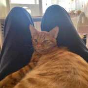 ヒメ日記 2025/08/31 00:27 投稿 なぎさ 完熟ばなな 立川