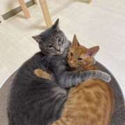 ヒメ日記 2025/09/05 13:17 投稿 なぎさ 完熟ばなな 立川