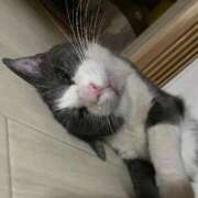 ヒメ日記 2025/09/07 23:57 投稿 なぎさ 完熟ばなな 立川