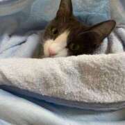 ヒメ日記 2025/09/20 11:27 投稿 なぎさ 完熟ばなな 立川