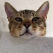 ヒメ日記 2025/09/24 10:57 投稿 なぎさ 完熟ばなな 立川