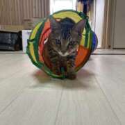 ヒメ日記 2025/10/05 10:27 投稿 なぎさ 完熟ばなな 立川