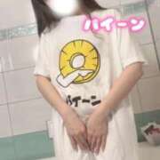 なの パイーン お姉京都