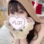 ヒメ日記 2025/12/06 00:32 投稿 なの お姉京都