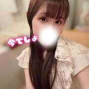 ヒメ日記 2025/12/14 16:14 投稿 なの お姉京都